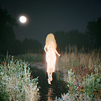 フォシー『ソフトコア』